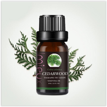 Afbeelding in Gallery-weergave laden, Aroma Vibes Etherische Olie en Aroma Therapie By Mieux 100% Natuurlijk Pure Essential Olie Orange Eucalyptus Peppermint Rosemary Relax Fragrance Aroma