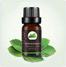 Afbeelding in Gallery-weergave laden, Aroma Vibes Etherische Olie en Aroma Therapie By Mieux 100% Natuurlijk Pure Essential Olie Orange Eucalyptus Peppermint Rosemary Relax Fragrance Aroma
